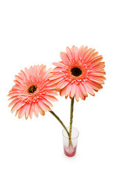 Similar image 249723