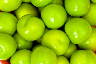 Similar image 249729