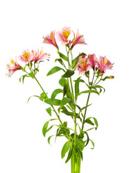 Similar image 249737