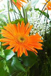 Similar image 249800