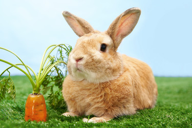 Similar image 249805