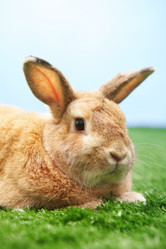 Similar image 249809