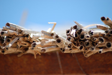 Similar image 249837