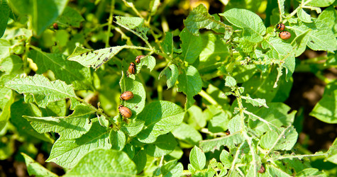 Similar image 249851