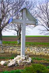 Similar image 249852