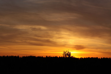 Similar image 249898