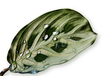 Similar image 249935