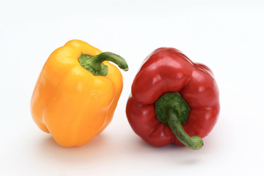 Similar image 249953