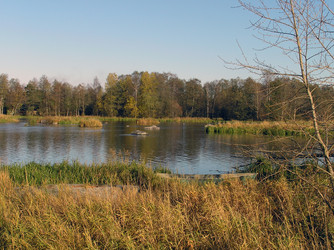 Similar image 249958