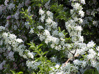 Similar image 249966