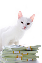 Similar image 249969