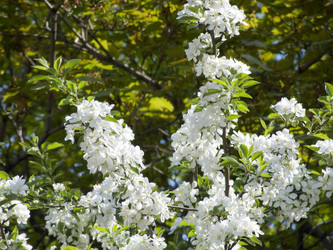 Similar image 249971