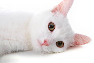 Similar image 249976