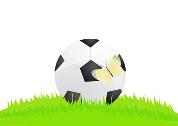 Similar image 250016