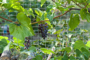 Similar image 250030