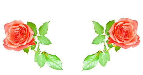 Similar image 250088