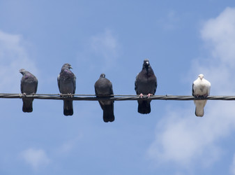 Similar image 250098