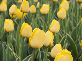 Similar image 250123