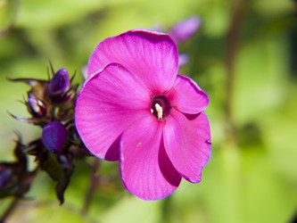 Similar image 250128