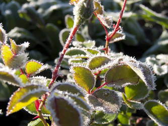 Similar image 250156