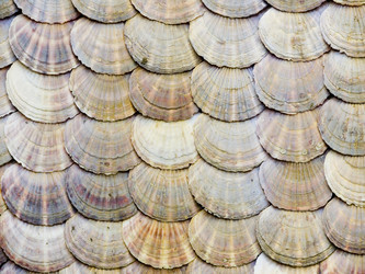 Similar image 250173