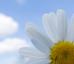 Similar image 250178