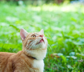 Similar image 250218