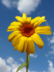 Similar image 250220