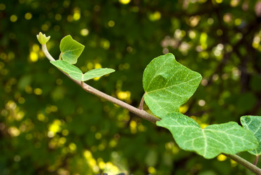 Similar image 250221