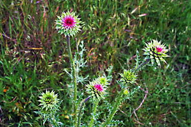 Similar image 250224