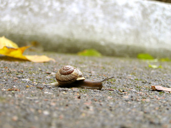 Similar image 250253