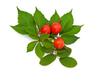 Similar image 250306