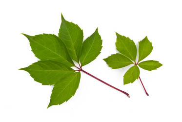 Similar image 250307