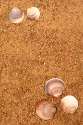 Similar image 250311