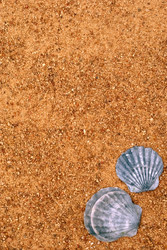 Similar image 250312