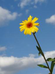 Similar image 250319