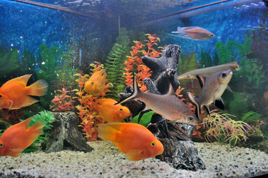 Similar image 250328