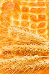 Similar image 250329