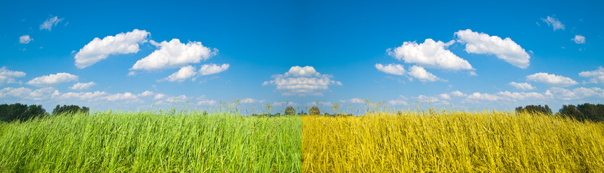 Similar image 250331