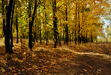 Similar image 250357