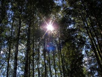 Similar image 250358