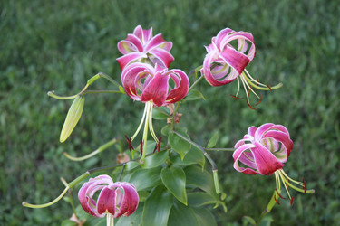 Similar image 250361