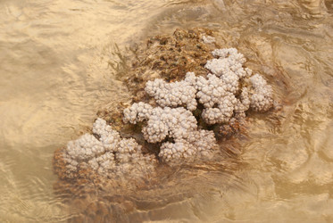 Similar image 250363