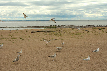 Similar image 250411