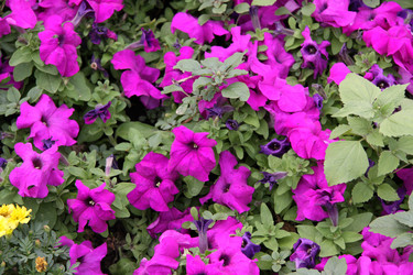 Similar image 250427