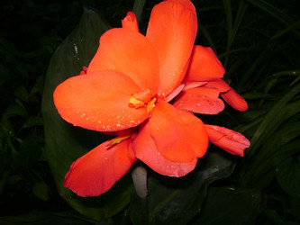 Similar image 250430