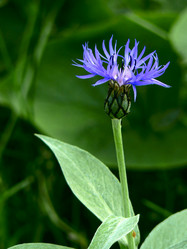 Similar image 250432