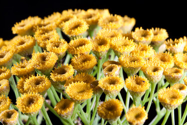 Similar image 250601