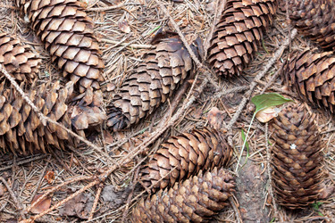 Similar image 250605