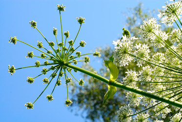 Similar image 250615